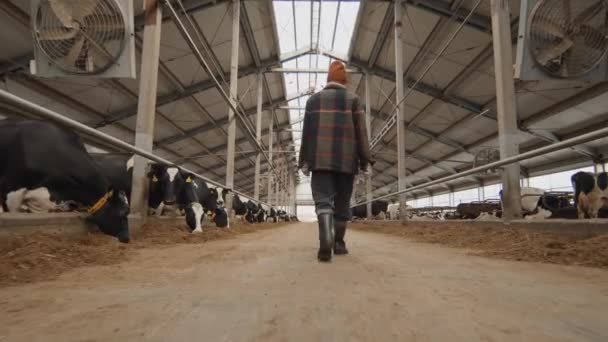 농장에서 카우셰드를 인식할 여자의 — 비디오