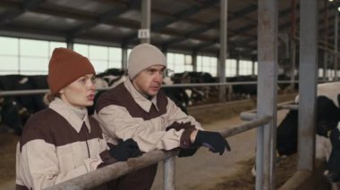 Çiftlikte çalışan erkek ve kadın inek ahırında durup ineklere bakıyor ve soğuk sonbahar günü planlarını tartışıyorlar.