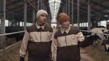Üniformalı iki çiftlik işçisinin inek ahırında yürürken çekilmiş orta ölçekli bir fotoğrafı.