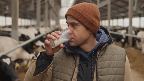 Modern Erkek Çiftlik Sahibinin Inek Ahırında Taze Süt Içerken Seçici — Stok video
