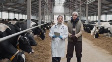 Modern erkek çiftlik sahibi ve kadın veterinerin inek ahırında kameraya bakarken orta uzunlukta bir fotoğrafı.