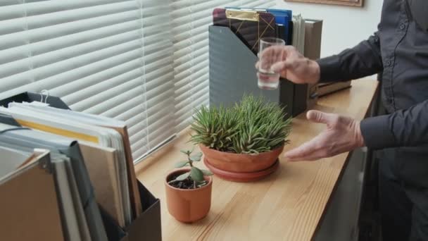 快乐成熟的天主教牧师 满脸胡须 留着马尾辫 在办公室的窗台上浇灌室内植物 — 图库视频影像