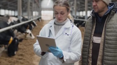 Modern inek çiftliği sahibine danışmak için elinde dijital tablet bulunan profesyonel veteriner.