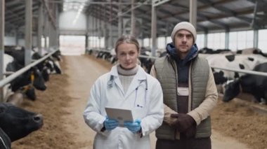 Beyaz erkek çiftçi ve kadın veterinerin orta boy portresi. İnek ahırında kameraya bakıyor.