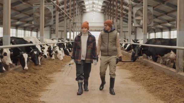 Kadın Erkeğin Çatal Kürek Tutarak Çiftlikte Çalışmalarını Inek Ahırında Yürürken — Stok video