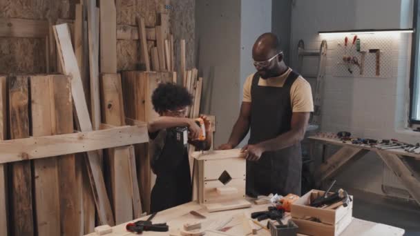 Közepes Távolságból Afro Amerikai Apa Dicséri Fiát Madárház Kivitelezéséért Pacsit — Stock videók
