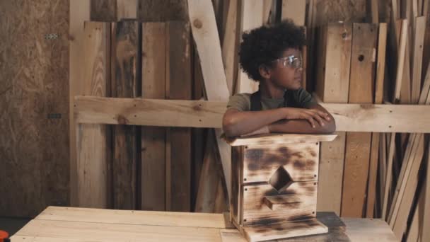 Portret Van Afro Amerikaans Kind Leunend Handgemaakte Vogelhuisje Kijkend Naar — Stockvideo