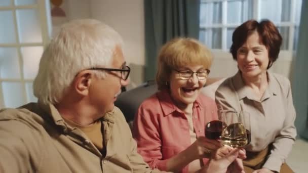 Pov Záběr Usměvaví Důchodci Brát Selfie Při Držení Sklenic Vínem — Stock video
