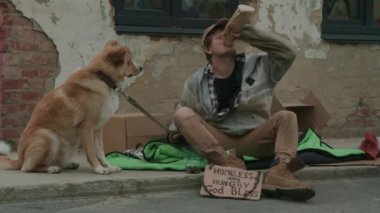 Köpeğinin yanında oturan ve onu sokakta besleyen, el işi çantada bira içen, terk edilmiş bölgede tabelası olan orta boy berduşun orta boy fotoğrafı.