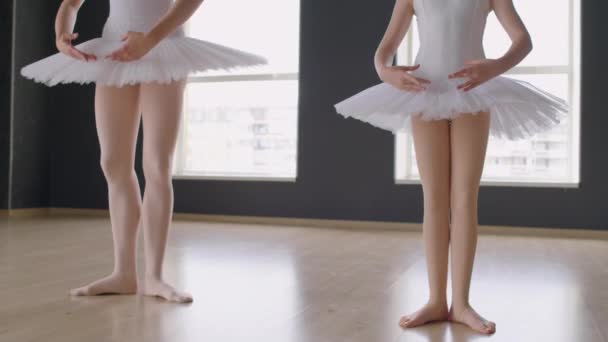 Tiro Recortado Bailarinas Adultas Pequenas Que Saltam Posição Coreoghraphic Ter — Vídeo de Stock