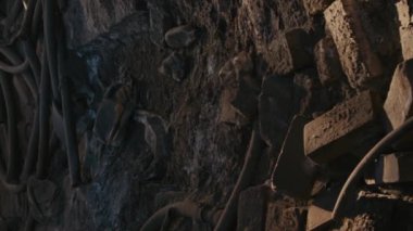 Dikey olarak, terk edilmiş bir binada el feneriyle dolaşan genç bir kadın fotoğrafı.