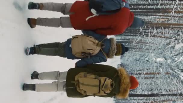 縦のショット 一緒に手を握っている3人の家族の背中の景色と旅行中に雪の木の間の森の道を歩く — ストック動画