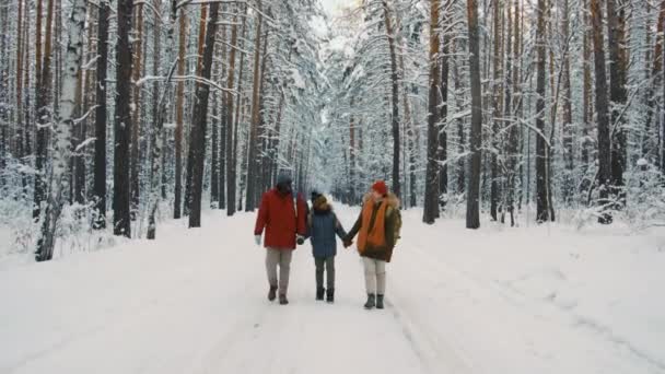 父亲和儿子在大树林里雪地的路上散步 走在一起 走近摄像机的长镜头 — 图库视频影像