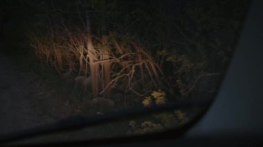 Seyirci, korkunç palyaçonun karanlıkta arabanın camından yolun ortasında durduğunu görüyor.