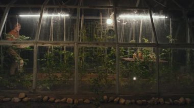 Şeffaf serada çiçeklerle ve fidelerle çalışan bir kadının geniş açılı görüntüsü.