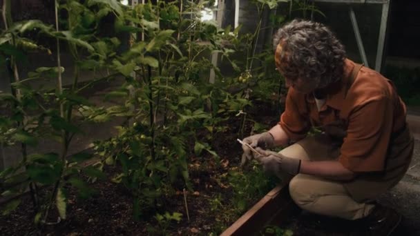 온실에서 일하는 스틱을 여자의 — 비디오
