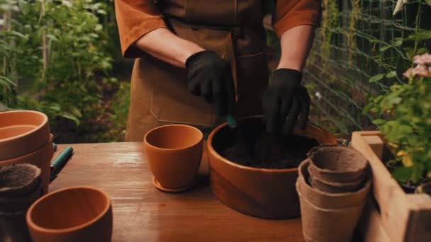 温室でテーブルで働いている間 別の鍋に花を移植する農民のショット — ストック動画