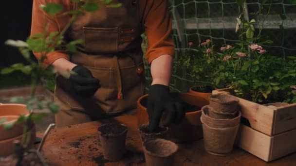 온실에서 일하는 수있는 농부의 기울이십시오 — 비디오