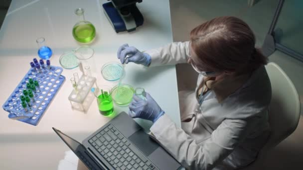研究室で実験を行っている女性科学者のトップショット パイプでフラスコから青い溶液を取り出し 細胞培養でペトリ皿に入り込み 結果を確認し ラップトップに入力する — ストック動画