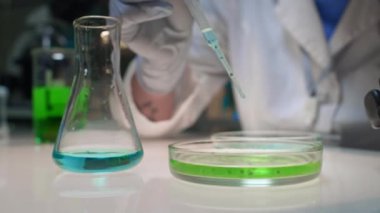 Beyaz laboratuvar önlüklü, tanınmayan kadın araştırmacının yakından çekilmiş bir fotoğrafı. Ekili hücrelerle birlikte petri kabına dikkatlice mavi sütun damlaları ekliyor, pipet kullanıyor.