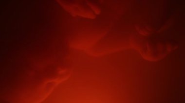 Son gelişim aşamasında fetüsü kapatın. Rahim içinde yüz üstü uyuyun.