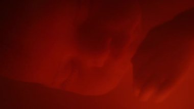 Makro, kırmızı rahmin içinde elleri yüzlerine yakın uyuyan ceninin yakın çekimi.