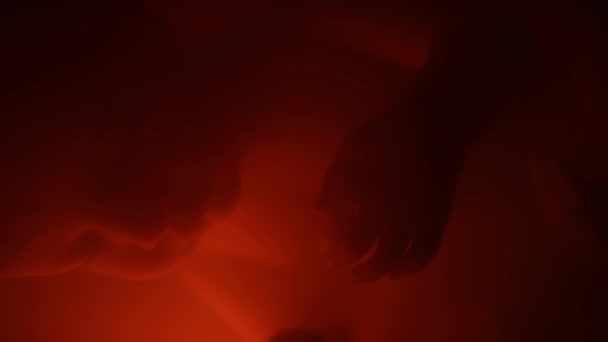 Κοντινό Πλάνο Κοιμώμενου Εμβρύου Που Επιπλέει Στο Σκούρο Κοκκινωπό Φως — Αρχείο Βίντεο