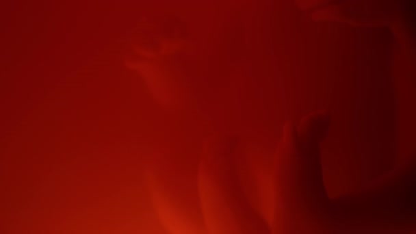 Макро Крупним Планом Ноги Ненародженої Дитини Всередині Червоної Матки — стокове відео