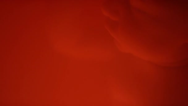 Macro Closeup Profile Unborn Baby Sleeping Glowing Red Womb Light — Stock Video