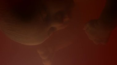 Makro, kırmızı rahimdeki amniyotik sıvının içinde uyuyan fetüse yakın çekim.