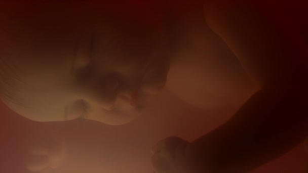 Μακροχρόνια Closeup Του Ύπνου Αγέννητο Μωρό Επιπλέει Λαμπερό Κόκκινο Αμνιακό — Αρχείο Βίντεο