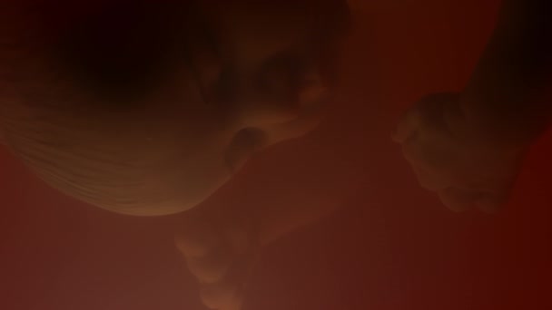빨간색 Amniotic 유체에서 아래로 잠자는 태아의 매크로 클로즈업 — 비디오