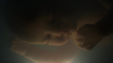 Makro, yapay rahimde elini hareket ettiren yatay pozisyonda uyuyan fetüs büyüyen laboratuvarın yakın çekimi.