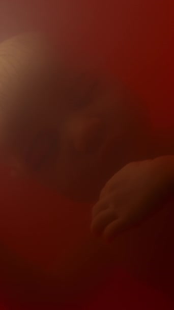 Κάθετη Κοντινό Πλάνο Του Προσώπου Του Κοιμώμενου Εμβρύου Στο Κόκκινο — Αρχείο Βίντεο