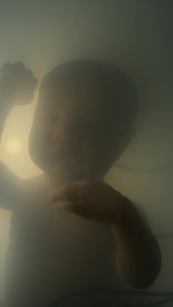 Primer Plano Vertical Del Bebé Crecimiento Del Laboratorio Dormido Conectado — Vídeo de stock
