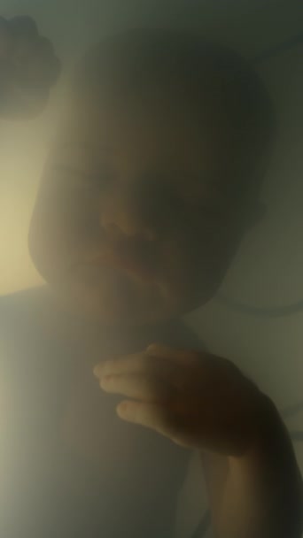 人工子宮で回るワイヤーが付いている睡眠ラボの縦のマクロのクローズアップ — ストック動画