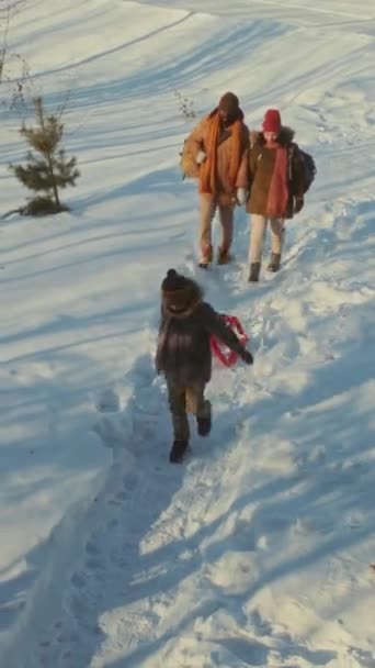 Güneşli Bir Kış Gününde Çocuk Parkta Yürürken Modern Etnik Çeşitlilikteki — Stok video