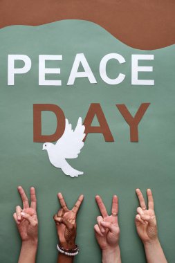 Kültürler arası dört gencin elleri beyaz güvercin ile gri arka planda dururken barış jesti yapıyor.