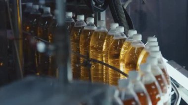 Tanımlanamayan fabrika işçisinin plastik eldiveni içindeki el kamerası görüntüleri içecek fabrikasındaki plastik soda şişeleriyle hareket halindeki taşıyıcı banta bir şişe koyuyor.