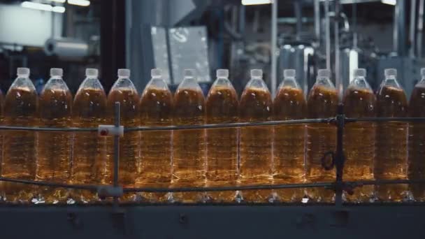 People Stab Footage Continuous Line Pet Capped Bottles Fizzy Drink — Stock Video