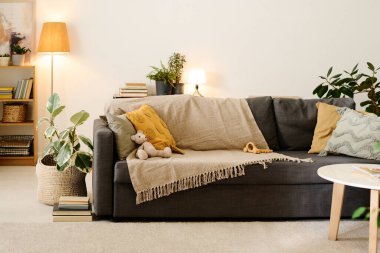 Geniş oturma odasının ortasında çiçek saksılarında yetişen yeşil evcil bitkilerle birlikte birkaç yastık ve oyuncakla rahat bir kanepe.