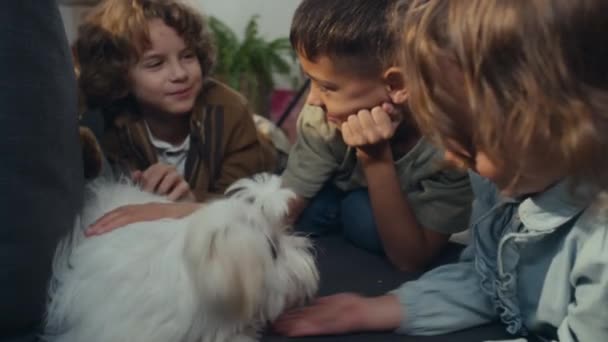 Zbliżenie Spowolnienie Uśmiechniętych Białych Dzieci Pieszczących Białego Yorka Lub Pieska — Wideo stockowe