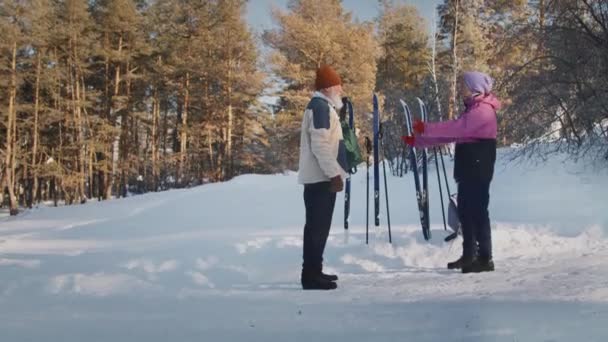 暖かい雪のスーツで成熟した男女のフルショットと晴れた日の松林に立っているウリーハット スキー旅行に行く前に肩と首のためのウォームアップエクササイズを行います — ストック動画