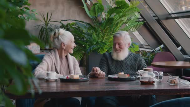 中等比例的白人夫妻坐在舒适的绿色咖啡馆里 享受着蛋糕和茶 女人讲故事 男人牵着她的手 带着爱和感情听着和观看着 — 图库视频影像