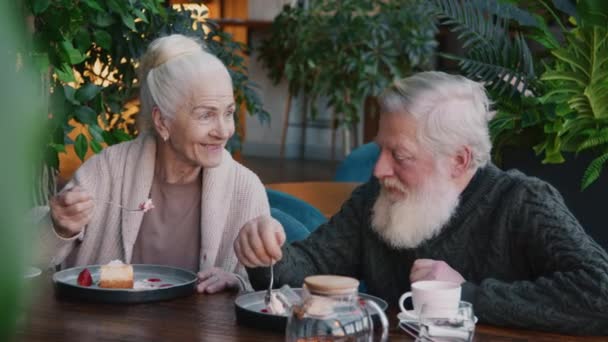 カフェで一緒に美味しいチーズケーキを食べながら 灰色の髪チャットをしている白人上級女性を笑わせるミディアムクローズアップショット — ストック動画