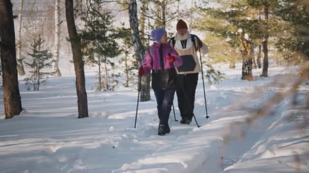 全身都是身穿便帽的老年白人妇女 穿着冬季夹克 头戴Anorak的男子 留着胡子 练习北欧人带着滑雪杆散步 聊着天 同时在森林里享受冬季徒步旅行 — 图库视频影像