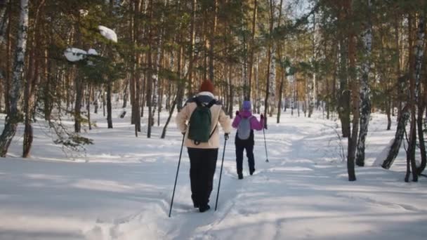 Gros Plan Ralenti Arrière Une Femme Méconnaissable Bonnet Combinaison Ski — Video