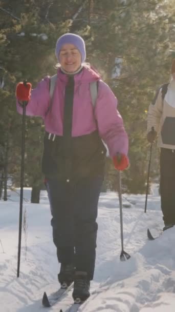 Kış Aylarında Güneşli Bir Günde Sırt Çantaları Orman Yolunda Kayak — Stok video