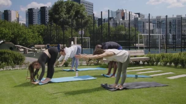 유연성과 강도를 아사나를 콘도미니엄에서 공원에서 그룹에서 요가를 남성과 이웃의 동영상 — 비디오
