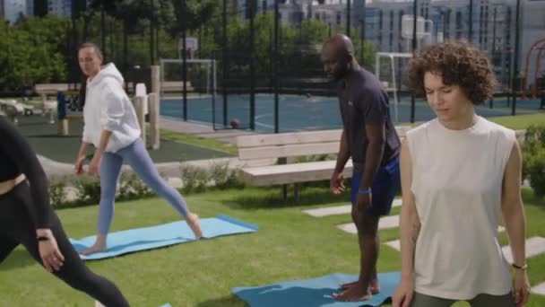 Images Arc Groupe Femmes Hommes Divers Pratiquant Yoga Sur Des — Video